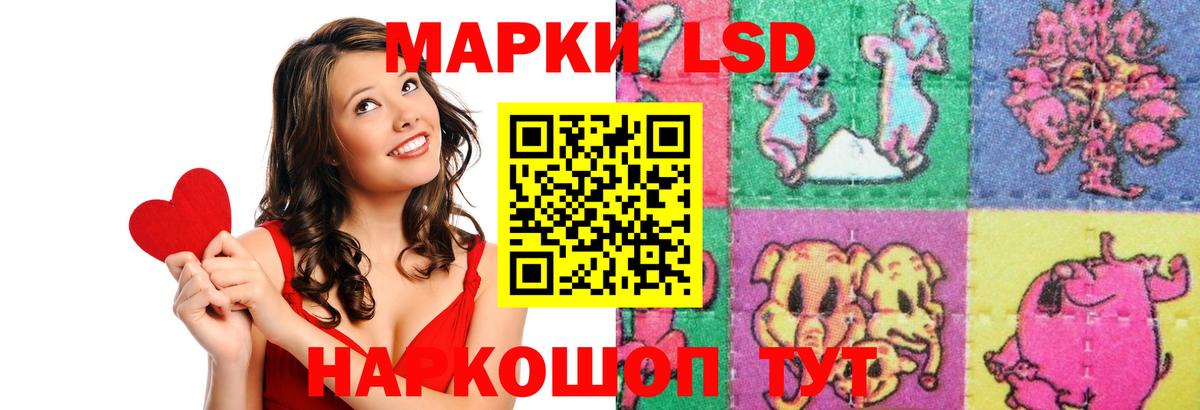 Гашиш Котлас