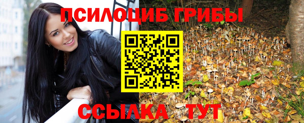 Галлюциногенные грибы прущие грибы Котлас