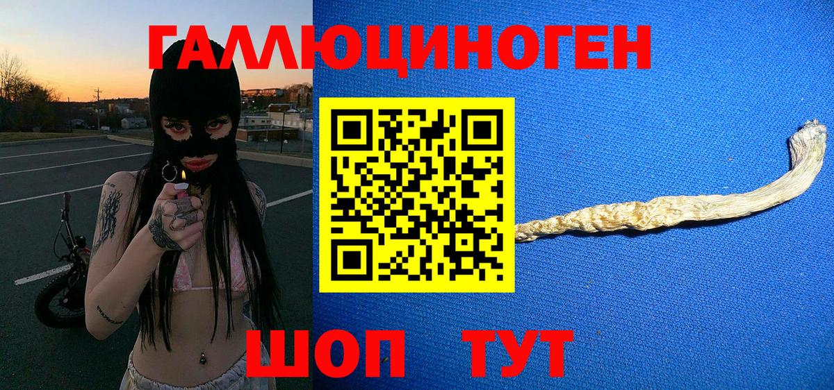 Котлас  Галлюциногенные грибы MAGIC MUSHROOMS  Галлюциногенные грибы Psilocybe  Вход с VPN 