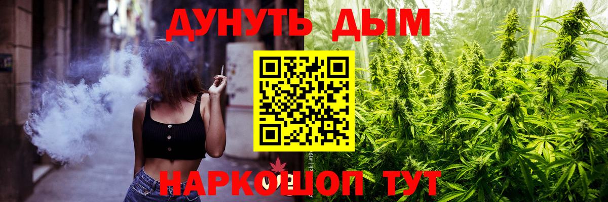 Котлас  Конопля марихуана  Марихуана гибрид  Бошки марихуана планчик  Вход с VPN 